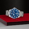 Tudor Pelagos